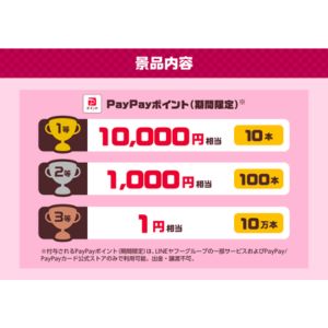 PayPayポイント1万円 他
