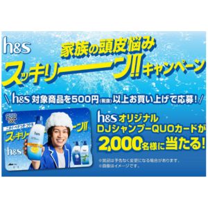 h＆sオリジナルQUOカード 500円分