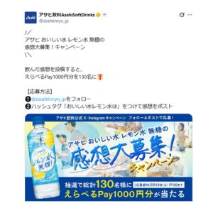 えらべるPay1,000円分