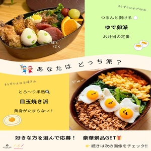 豊橋うずら卵セット