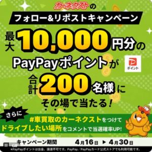PayPayポイント最大1万円分
