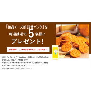 絶品チーズ煎餅 詰替パック