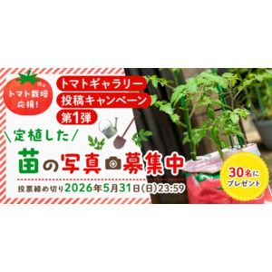 カゴメ商品詰め合わせ