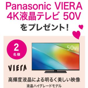 Panasonic VIERA 4K液晶テレビ 50V型