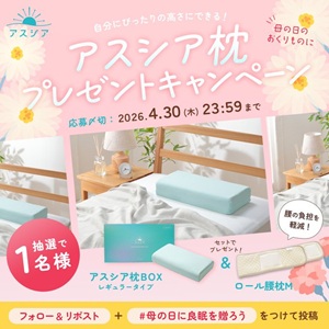 アスシア枕BOXレギュラータイプ&ロール腰枕M