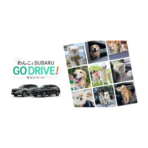 [東京・大阪]SUBARU試乗モニター＆愛犬と泊まれるペア無料宿泊券