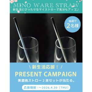 美濃焼ストローペアセット