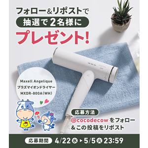 Maxell Angelique プラズマイオンヘアドライヤー