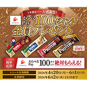 えらべるPay 100ポイント