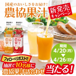 農協果汁みかん＆りんご詰合せ