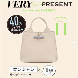 ロンシャン バッグ「ル ロゾ」