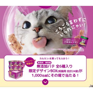 無添加パテ 全6種入りBOX