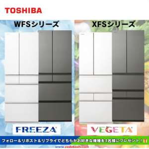 東芝冷蔵庫 選べるVEGETA/FREEZA