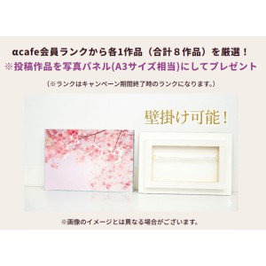 写真パネル 他