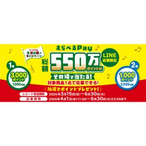 えらべるPay 最大3,000ポイント