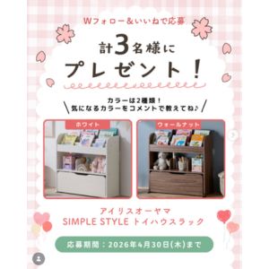 賞品画像：アイリスオーヤマ「トイハウスラック」