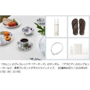賞品画像：ガルニ チャーム、ブレスレット 他