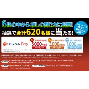 えらべるPay 最大5,000円相当