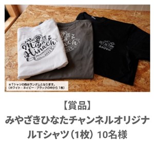 【希少】懸賞当選品 週刊少年サンデー 応募者プレゼント Tシャツ 少年ジャンプ号20掲載】 WJ限定オリジナルTシャツ 3号連続春の特大