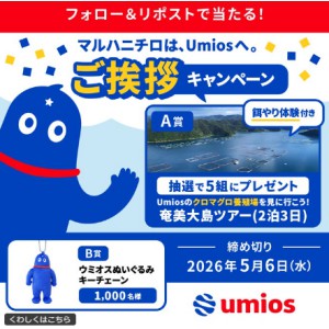 奄美大島ツアー 他