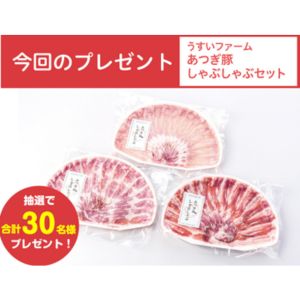 あつぎ豚 しゃぶしゃぶセット