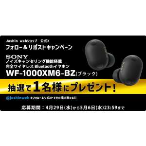 SONY ノイズキャンセリングワイヤレスイヤホン