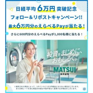 えらべるPay6万円分 他