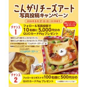 QUOカードPay5,000円分 他