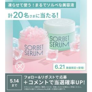 資生堂氷点下美容液 S ソルベセラム