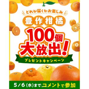 柑橘2個