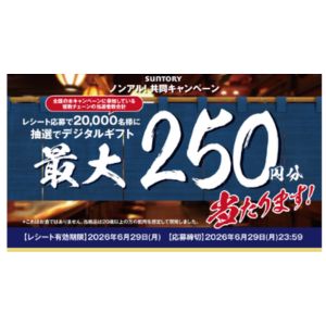デジタルポイント 最大250円分