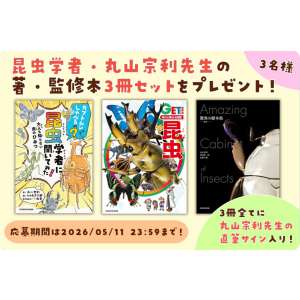 丸山宗利先生サイン入り昆虫関連書籍3冊セット