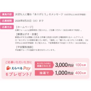 えらべるPay3,000円分 他