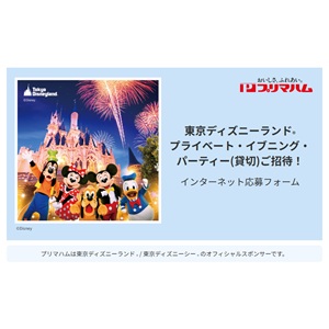 ディズニー　パーティーペアチケット