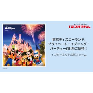 東京ディズニーランド プライベート・イブニング・パーティーチケット
