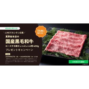 萬野総本店 国産黒毛和牛ロース肉