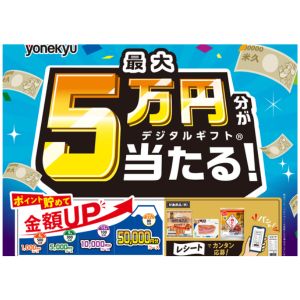 デジタルギフト 最大5万円分