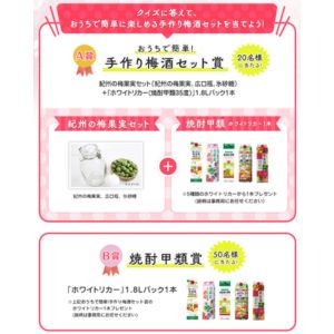 [近畿・中国・四国]手作り梅酒セット他