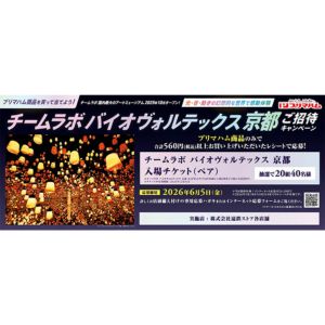 チームラボ バイオヴォルテックス京都チケット