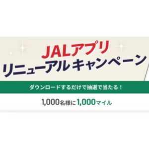 JAL マイル1,000円相当