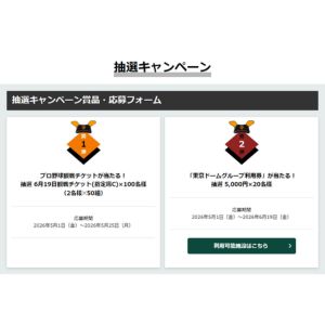 東京ドーム　プロ野球 ペア観戦チケット 他