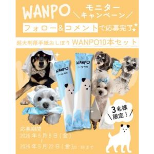 人もペットも使える大判紙おしぼり10本セット