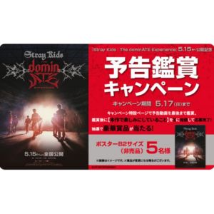 映画『Stray Kids』非売品ポスター