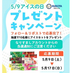 久保田食品 アイスセット
