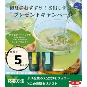 伊勢茶ティーバッグ2種セット