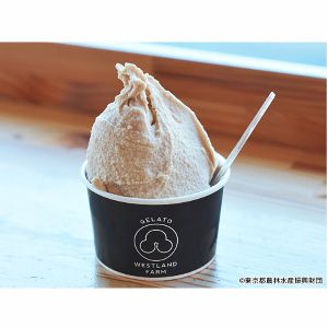 季節の絶品ジェラート8個セット
