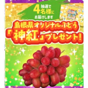島根の特産品ぶどう「神紅」