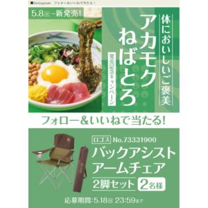 ロゴス バックアシストアームチェア