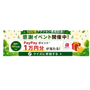 PayPayポイント1万円分