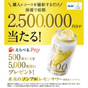 えらべるPay 500ポイント